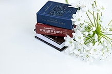 FC�����X��W